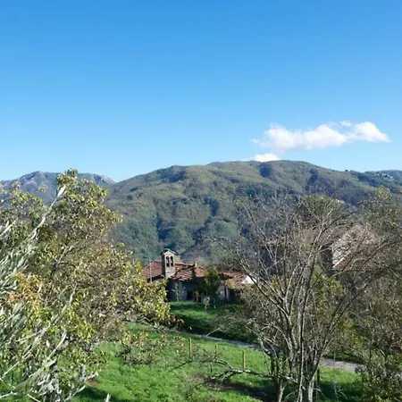 Casa Buonamici *